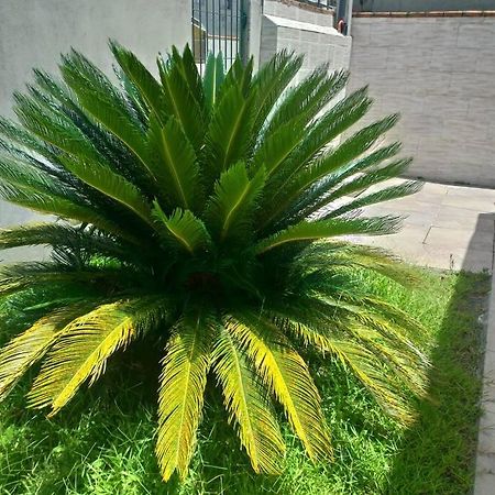 Villa Casa Agradavel Em Camboriu Com Estacionamento No Patio Extérieur photo