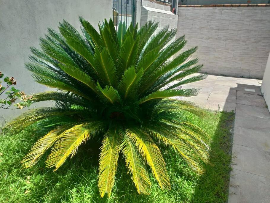 Villa Casa Agradavel Em Camboriu Com Estacionamento No Patio Extérieur photo